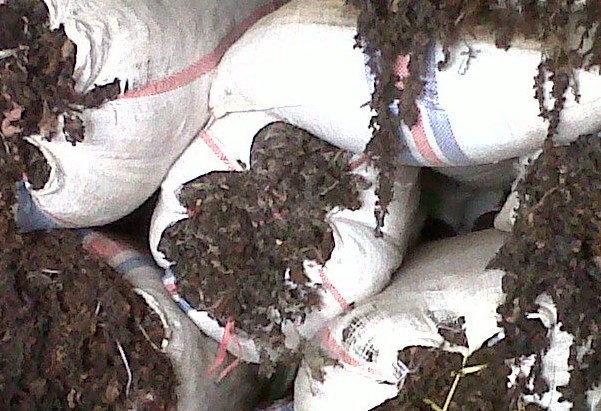 ӡβ壬ӡҶˣӡӡả