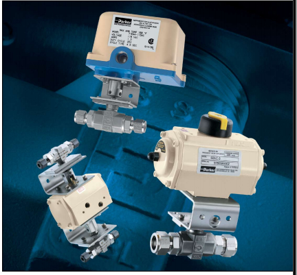 parkerɿִ|parkerִ|ɿִ