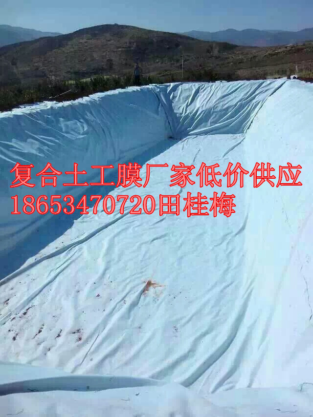 ɽӪзֳĤ۸ Ĥؼ۹Ӧ