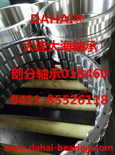 DAHAI ֻʷ01B460mmGR/EX