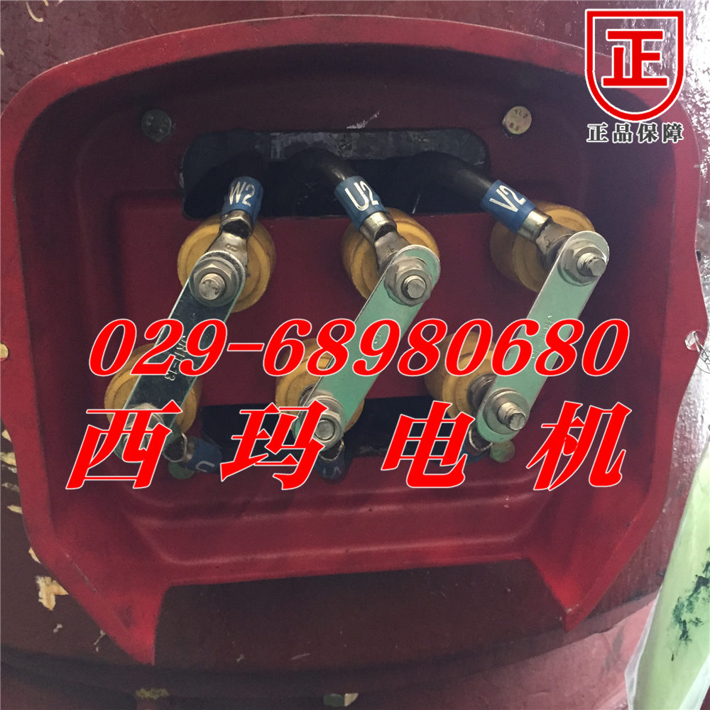 【JS147-10 355KW 380V】JS系列电动机调试安装