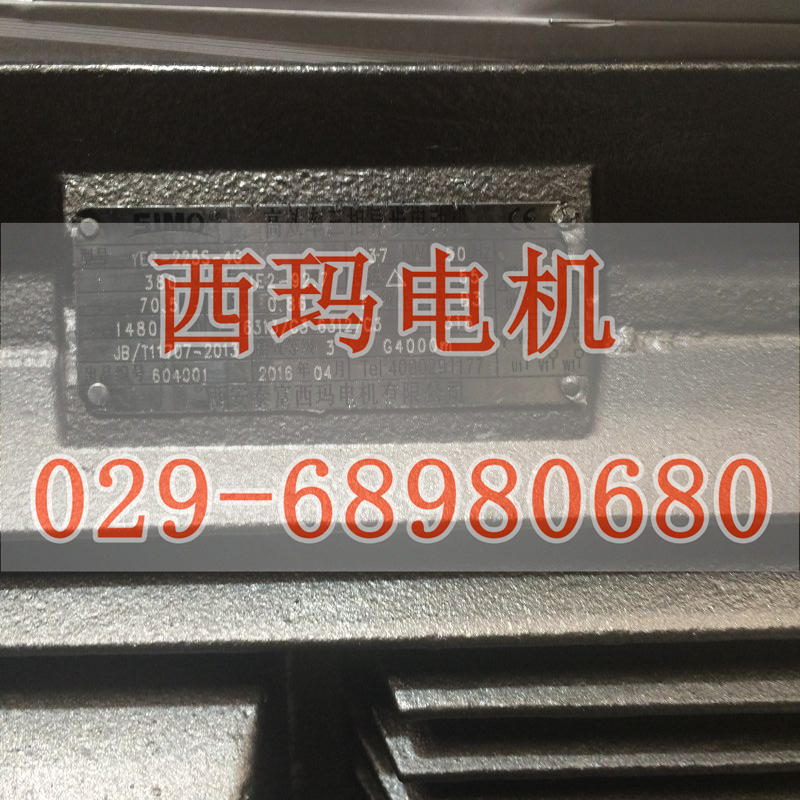 JS1410-8 560KW 380V͵Ʒ;