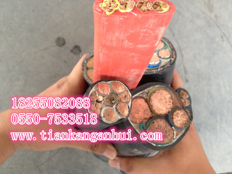 CJPF90/SC/NC/NSC船用电力电缆销量第一