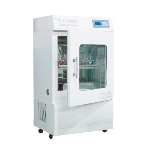 רҡ100B-ʵҡ-ҡ100B