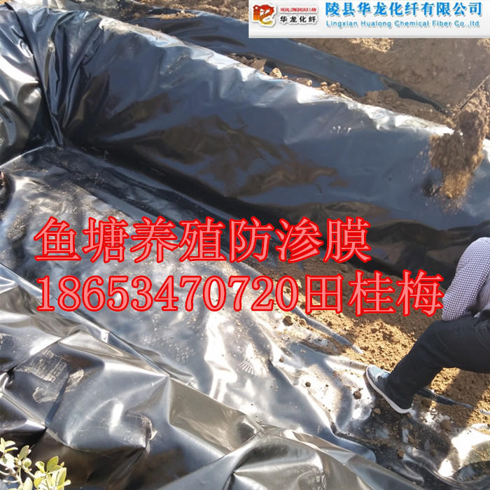 ɫܶȾϩĤ ˮˮĤɽֶ֧