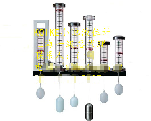 CLT-1-B1-CC-50-100C-1ҺλKOIKEСش