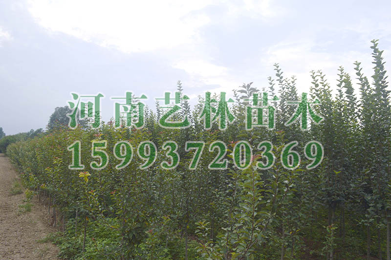 Ѩͩ۸_Ѩ10-11-12ַͩ۸