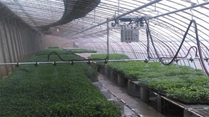 ӱʡҫũҵȫ紲Զѭֲ