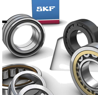 ն˹SKFרҵ
