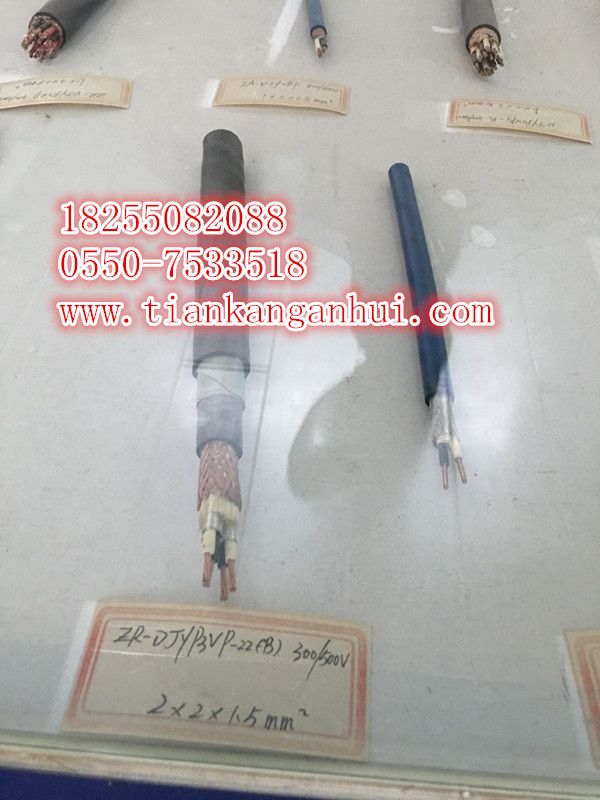 BPGVFPP2£BPGGPP2͸¹𽺱Ƶ¡쿵š