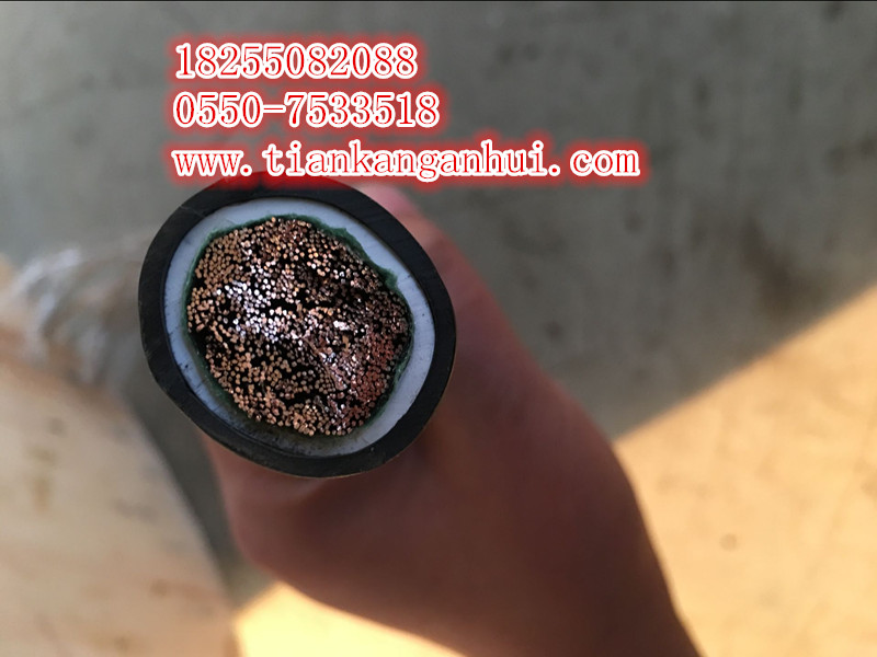 JFEM£JFEM£ͭ˿˫ƤԵף¡쿵š