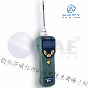 ׹ӦMiniRAE Lite VOC