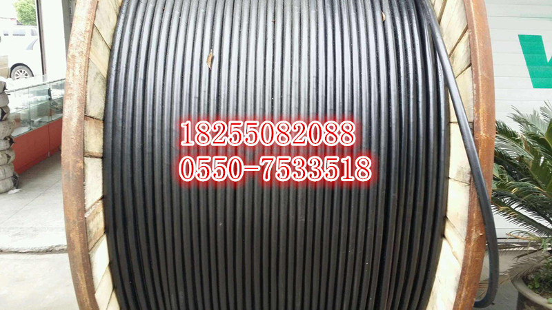 CKJV92, CKJP82,CKJVP,CKJVP80,õ¡쿵š