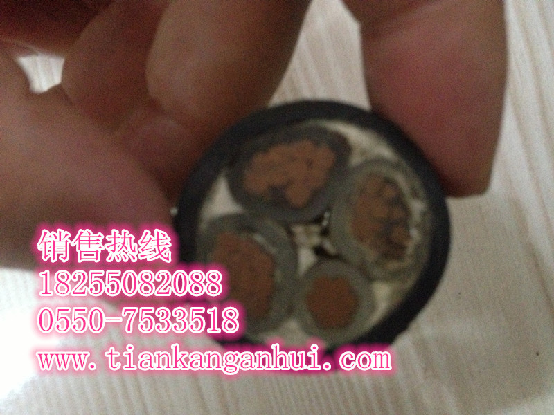 CHEPFCHEP80CHEPF90õ¡쿵š