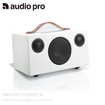 ħ audio pro addon t3 컧Яʽhifi