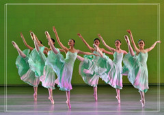 舞蹈地胶价格专业舞蹈地胶北京最普遍的舞蹈地胶