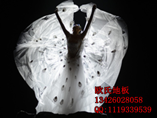 幼儿舞蹈地板少儿舞蹈地板老年舞蹈地板