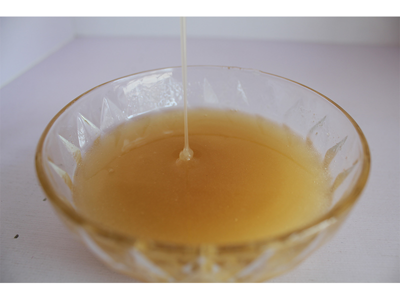 销量好的土蜂蜜公司_蜂蜜