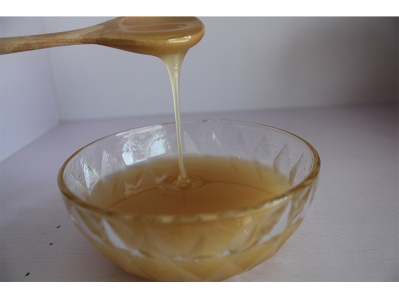 三门峡信誉好的油菜蜜供应商_优惠的蜂蜜