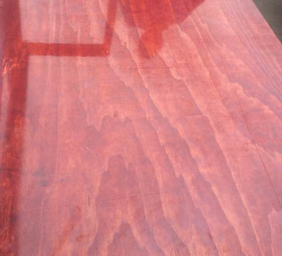 Ÿߵģ嵱ѡľҵ ̩ģļ