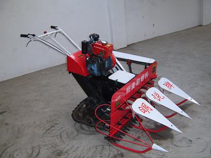 Ӧɹ.Сո.ո.ջ.ũҵе