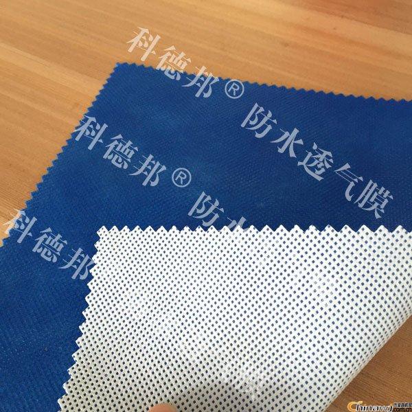 Ʒˮ͸Ĥ ŰƷʷˮ͸Ĥ