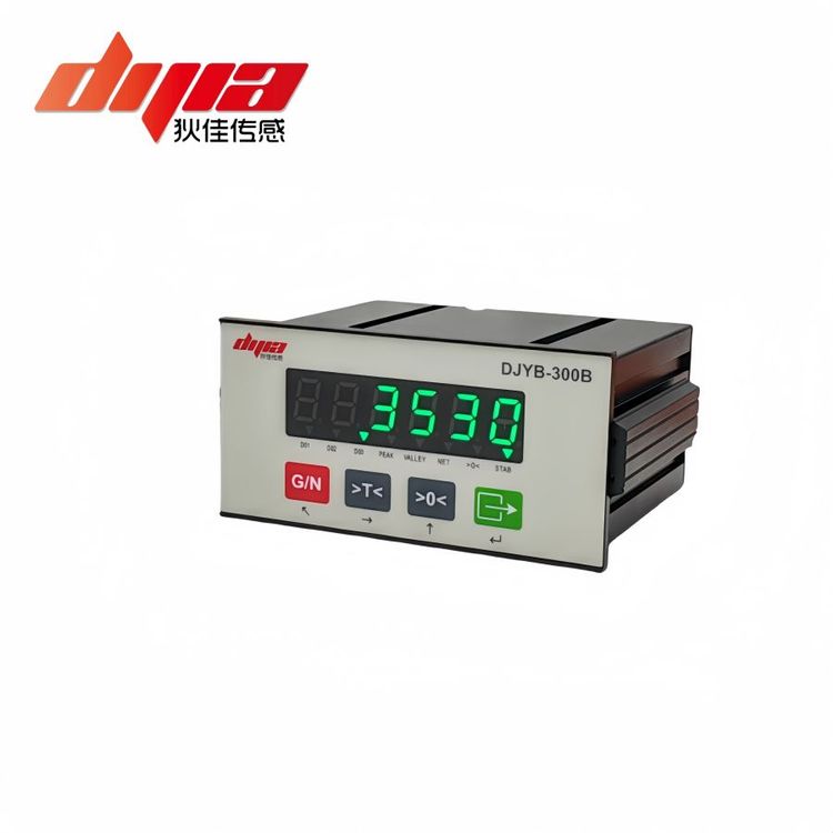 DJYB-300BҼѴDJSENSORǱֱRs485