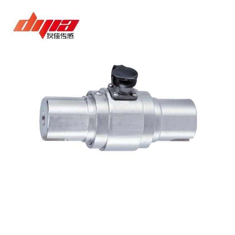 ҼDJSENSOR̬ŤشDJNL-30ڷתŤز