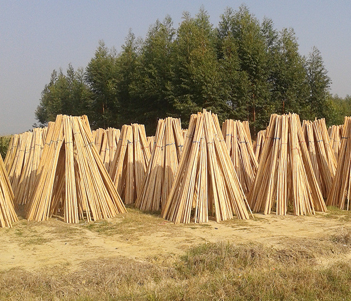  2.8cm&times;120cmʵľԲľ ľԲľʾͼ12