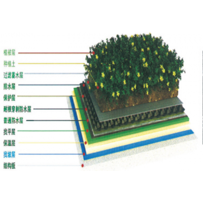 첼-ۺ͸̷ˮ(ֵרþ)