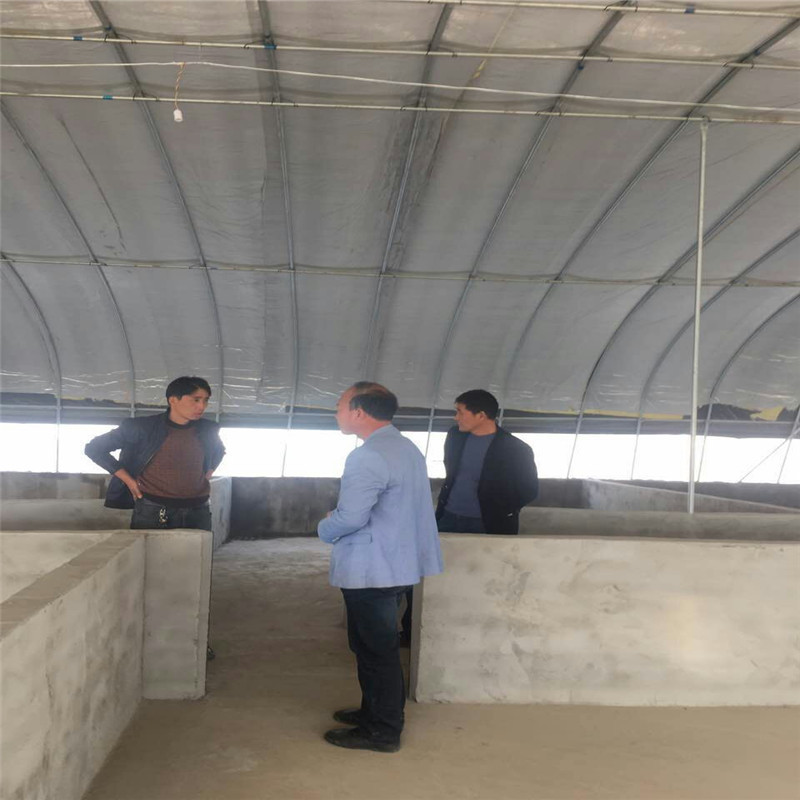 63187804d79694dd857b694b6e61a6