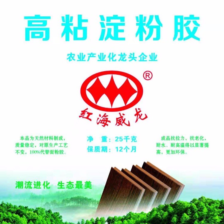 ȵ۽ϰۼ۸-ҵ۵۳ֱ-