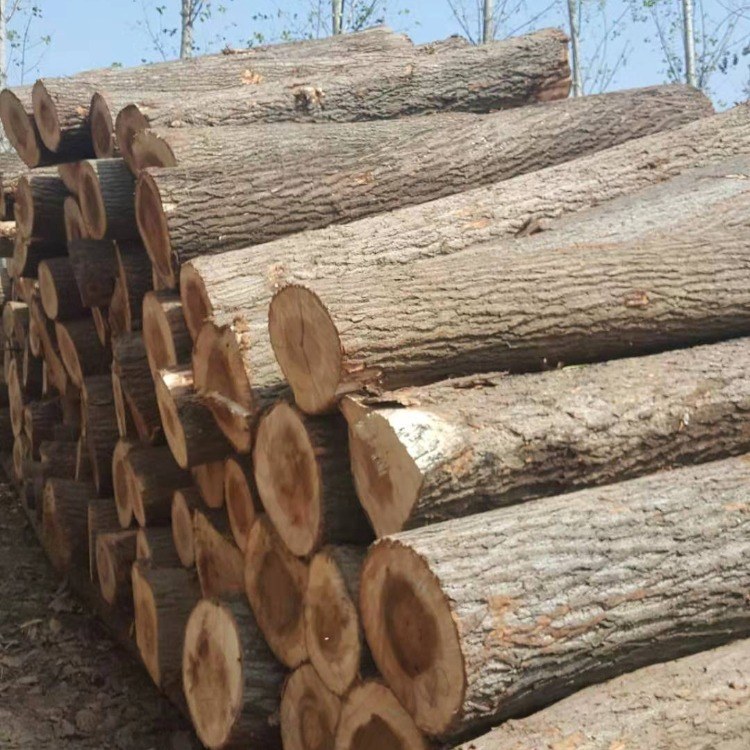 ɭľҵ-ľ-ԭľ-ľɼҾ߰