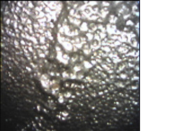 Monitor image on IPLEX TX