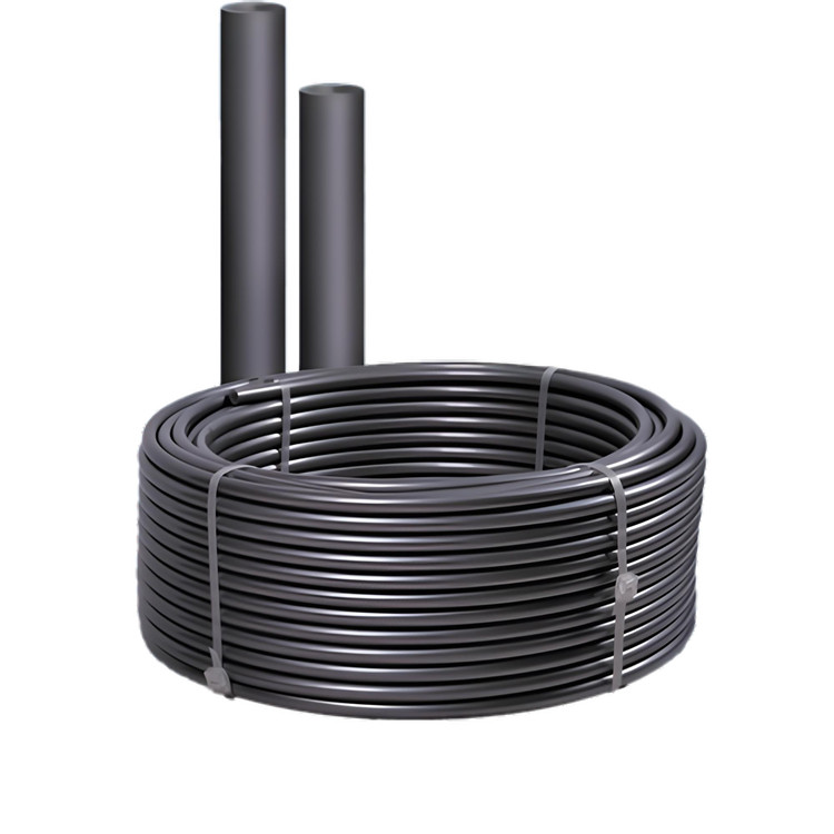 ͨҵ ʯīϩů ϩ ͸ʴ ͸ 蹸ߵ 