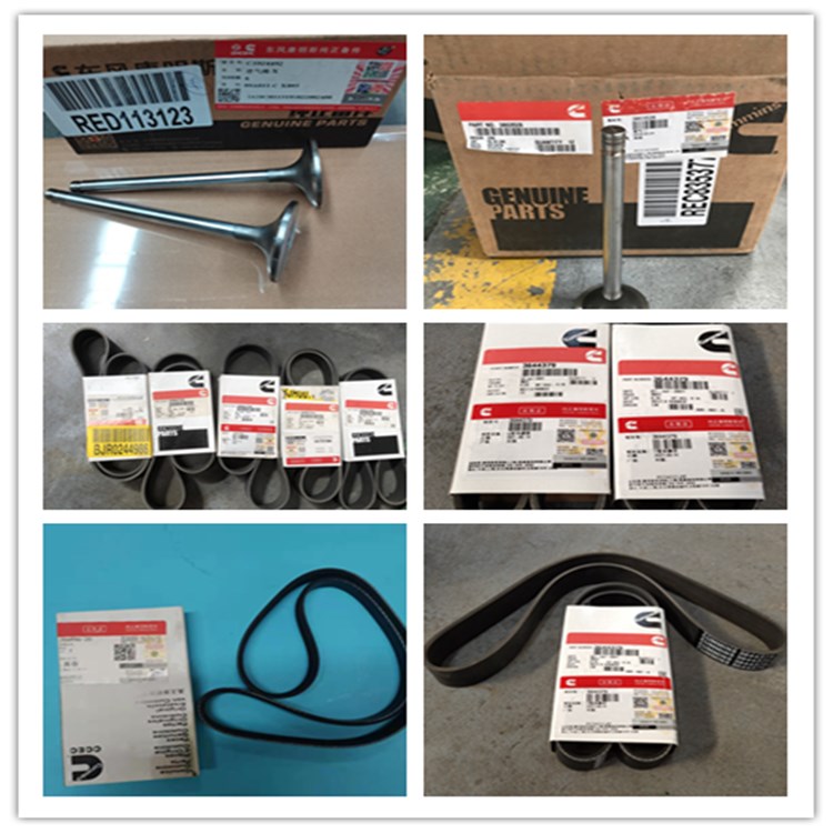 ɽ ά¿ 716 TS350֧ܰ˳