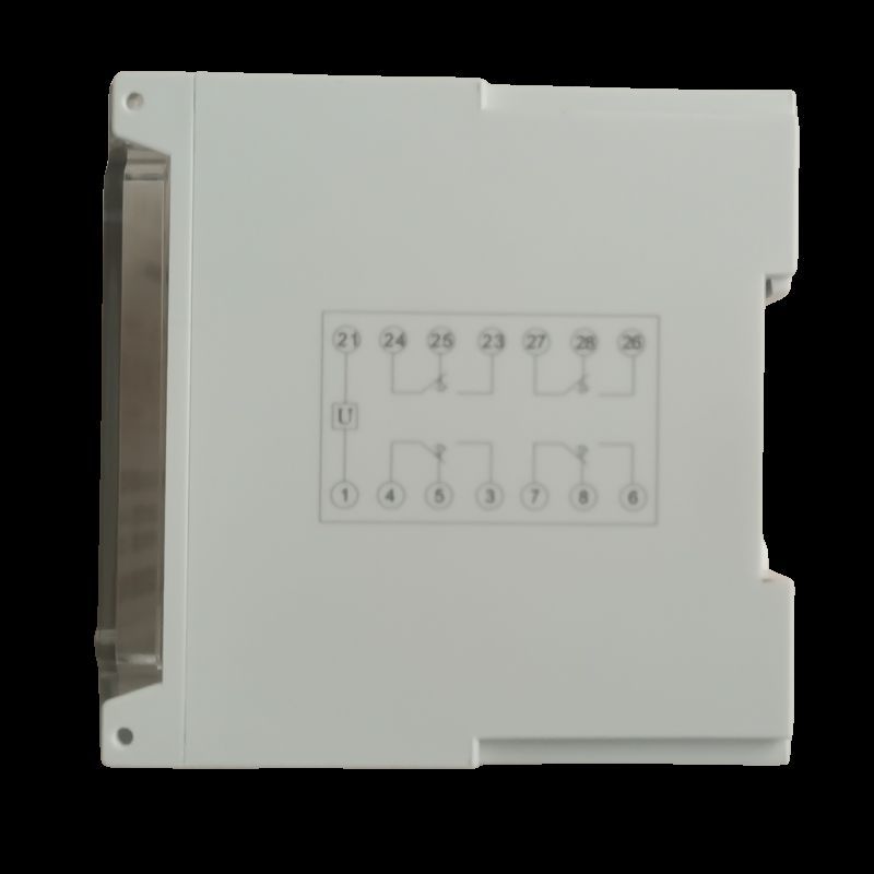 SRTT-220VDC-2H2Dͨʱ̵ϸ