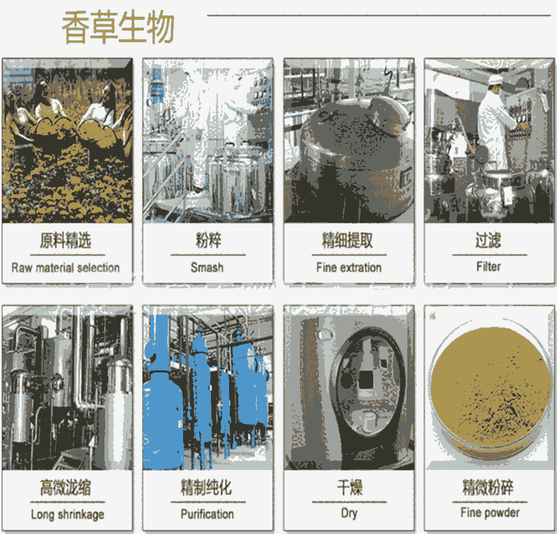 ٻƹȡ ٻƹ120Ŀ 60%