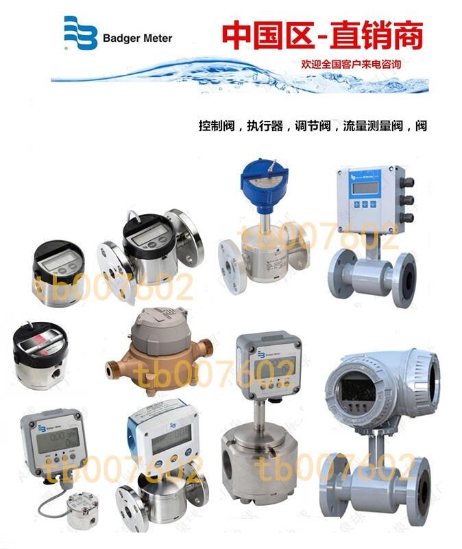 3/8NPT ¹BadgerMeterŷƷ豸