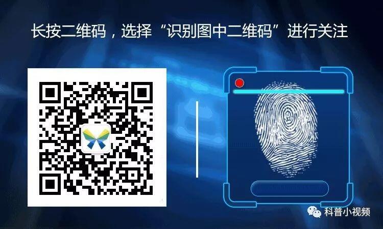 2019΢ĹںƼ_Ȥʵõ΢Źں