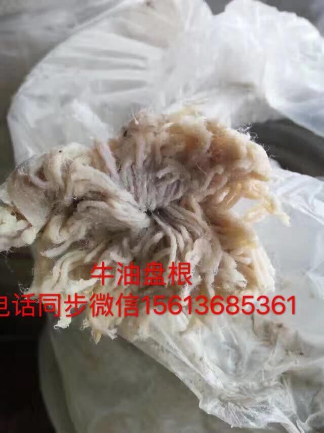 吉林松原纯牛油棉纱盘根厂家