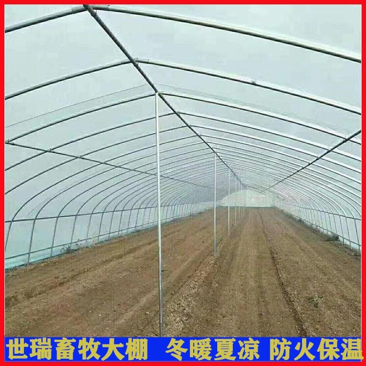 ֲ Ҵ ߲˴ｨ ϴֹ