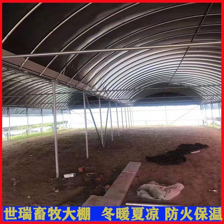  ֲｨ ֹܼӹ ߲ˮ