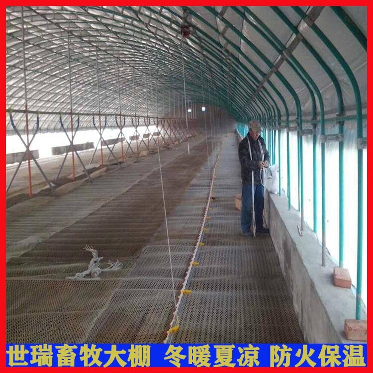 Ѽｨ۸ ȫԶѼʩװ Ѽ