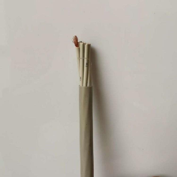 ʲ٤ʦߵWDZN-RYSP-2*1.5