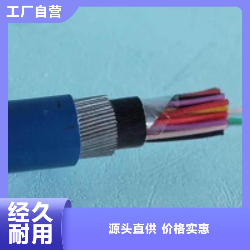 WDZC-BPYJVRP-鑫缆元线缆3*95