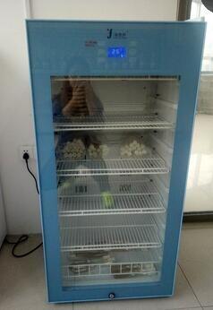 20-25度冰箱药品恒温柜