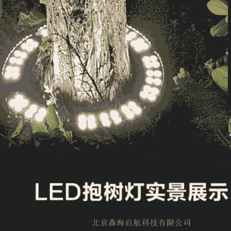 ⾰۲ƺ Ӧ̫ܲƺƼ۸ ɽ̫·Ƴ