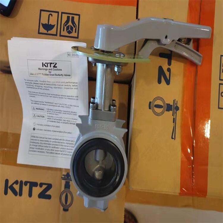 KITZG-10XJMEA DN250ֵձkitz̷Ź