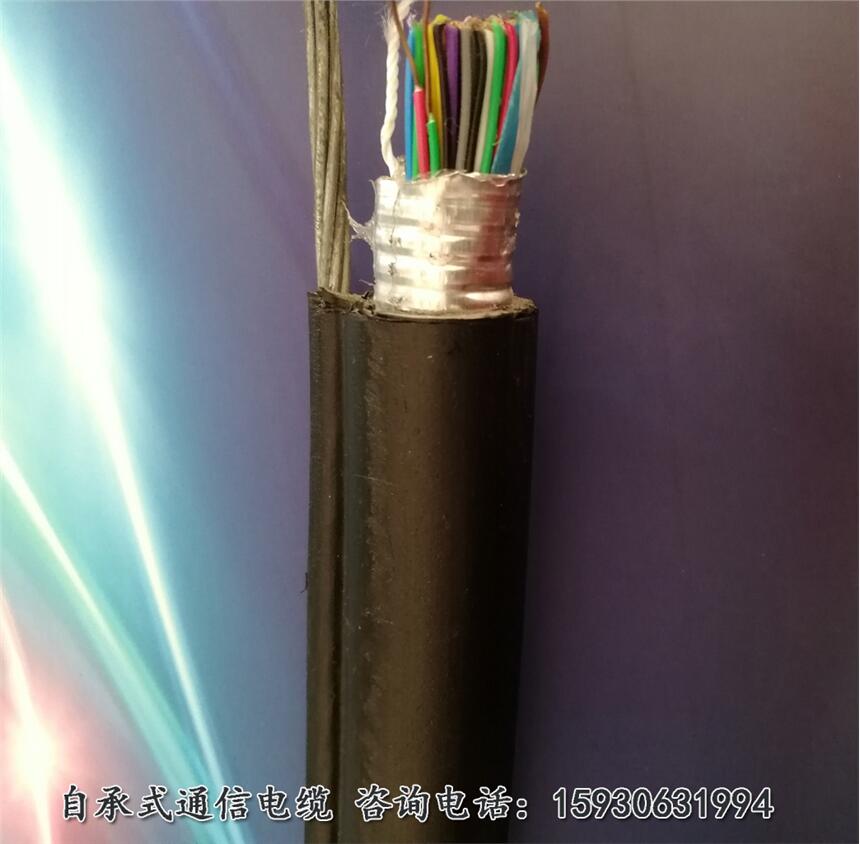 局用配线电缆HPVV